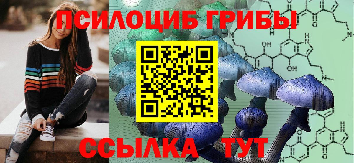 Галлюциногенные грибы мицелий Кемерово