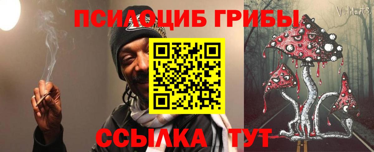 Кемерово  Псилоцибиновые грибы Psilocybine cubensis  Вход с VPN  Псилоцибиновые грибы мухоморы 